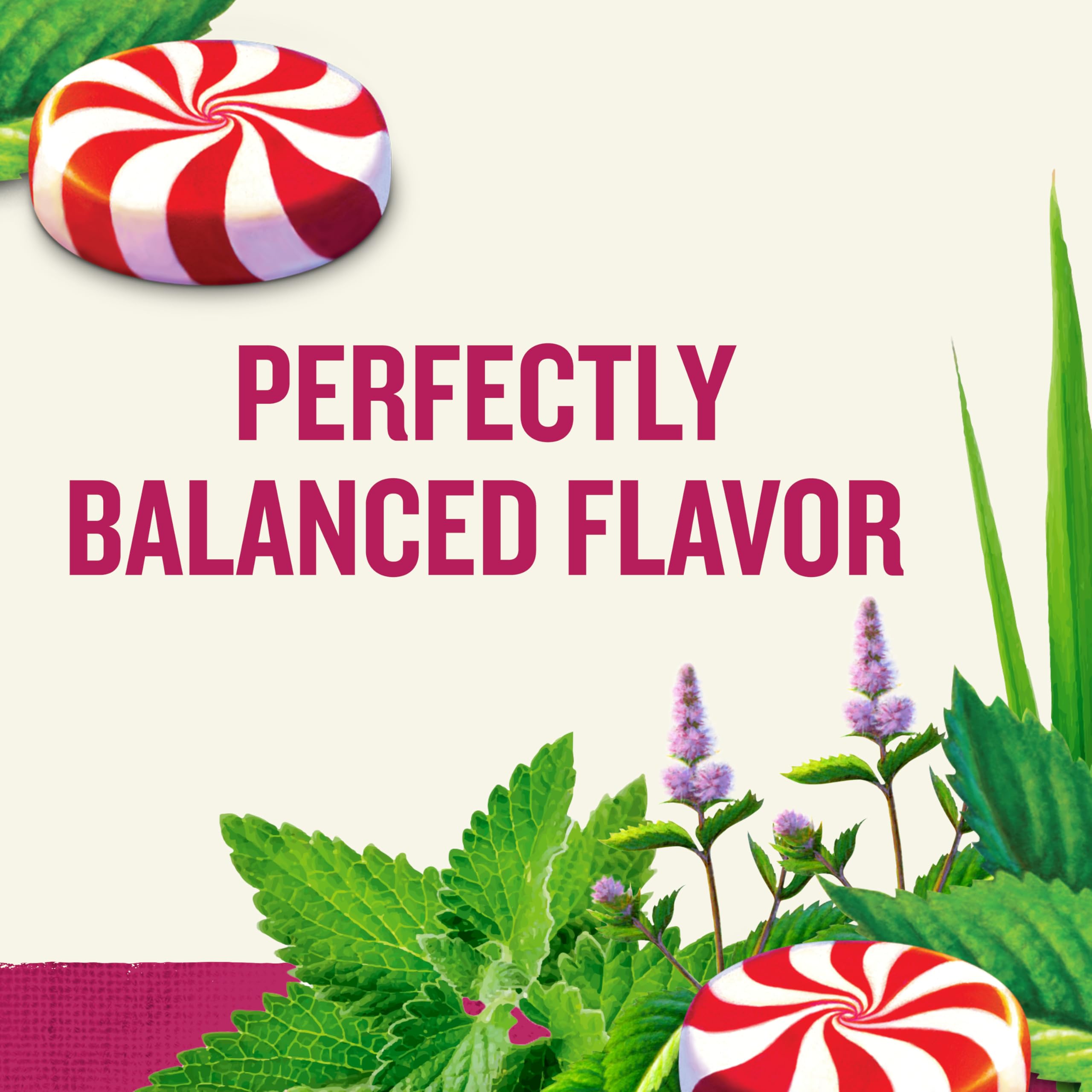 Celestial Seasonings loose peppermint leaves detail revealing natural ingredient quality