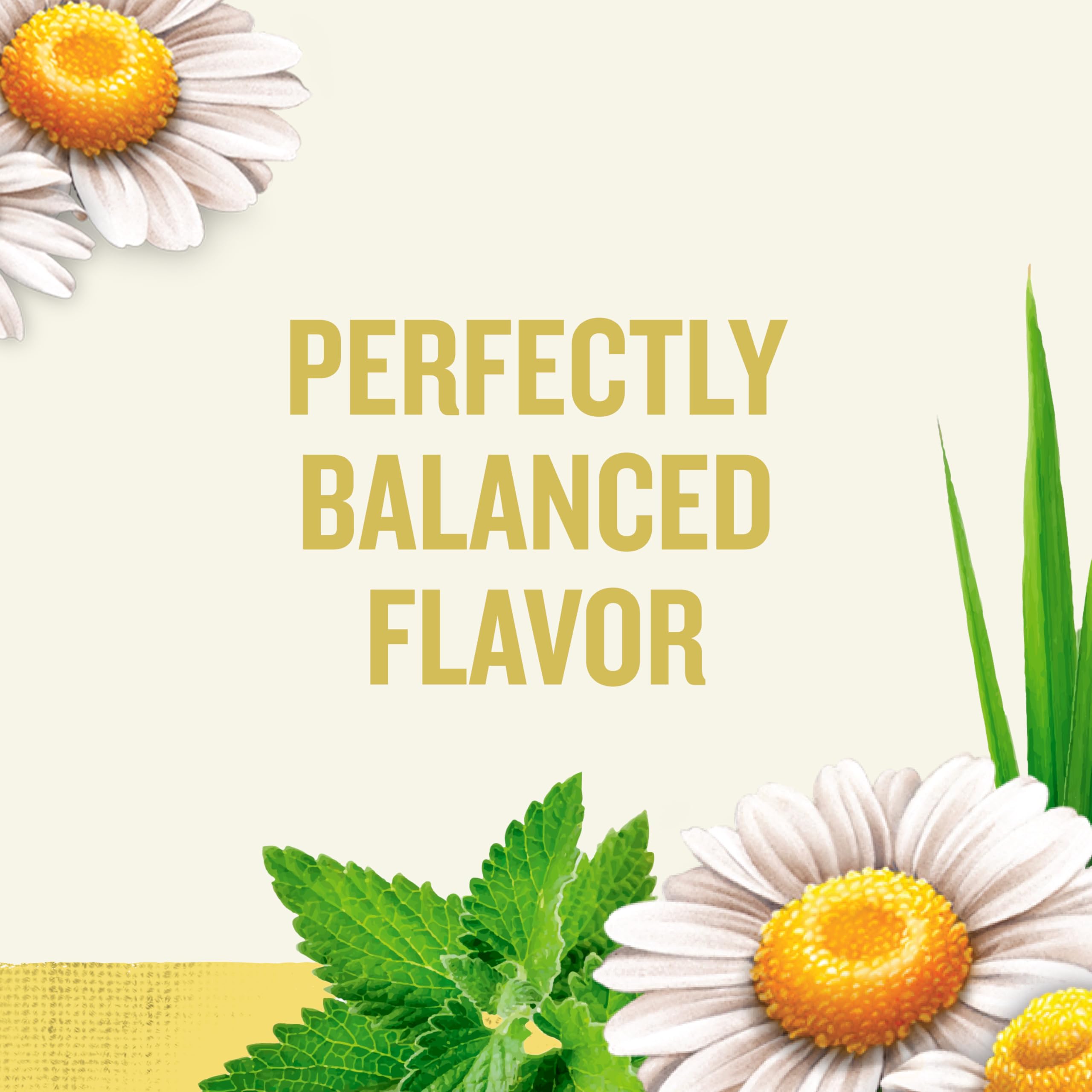 Celestial Seasonings chamomile blossoms close-up showing natural texture and purity