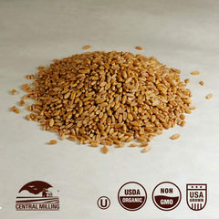 CENTRAL MILLING close-up of wheat berries texture highlighting clean, laser-sorted quality