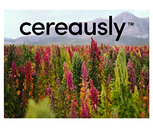 Cereausly morning grain bowl with fruit, showing nutritious convenient breakfast