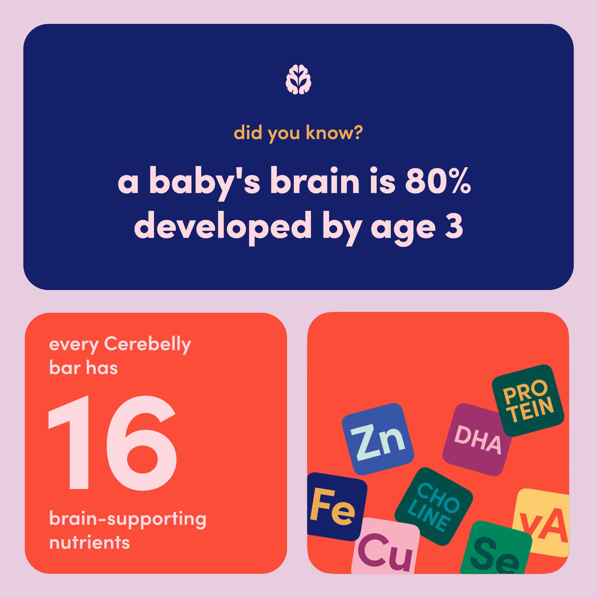 Cerebelly nutrition label and printed expiration date for quality assurance