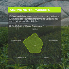 Chazoku open tin with vivid green matcha powder, highlighting freshness