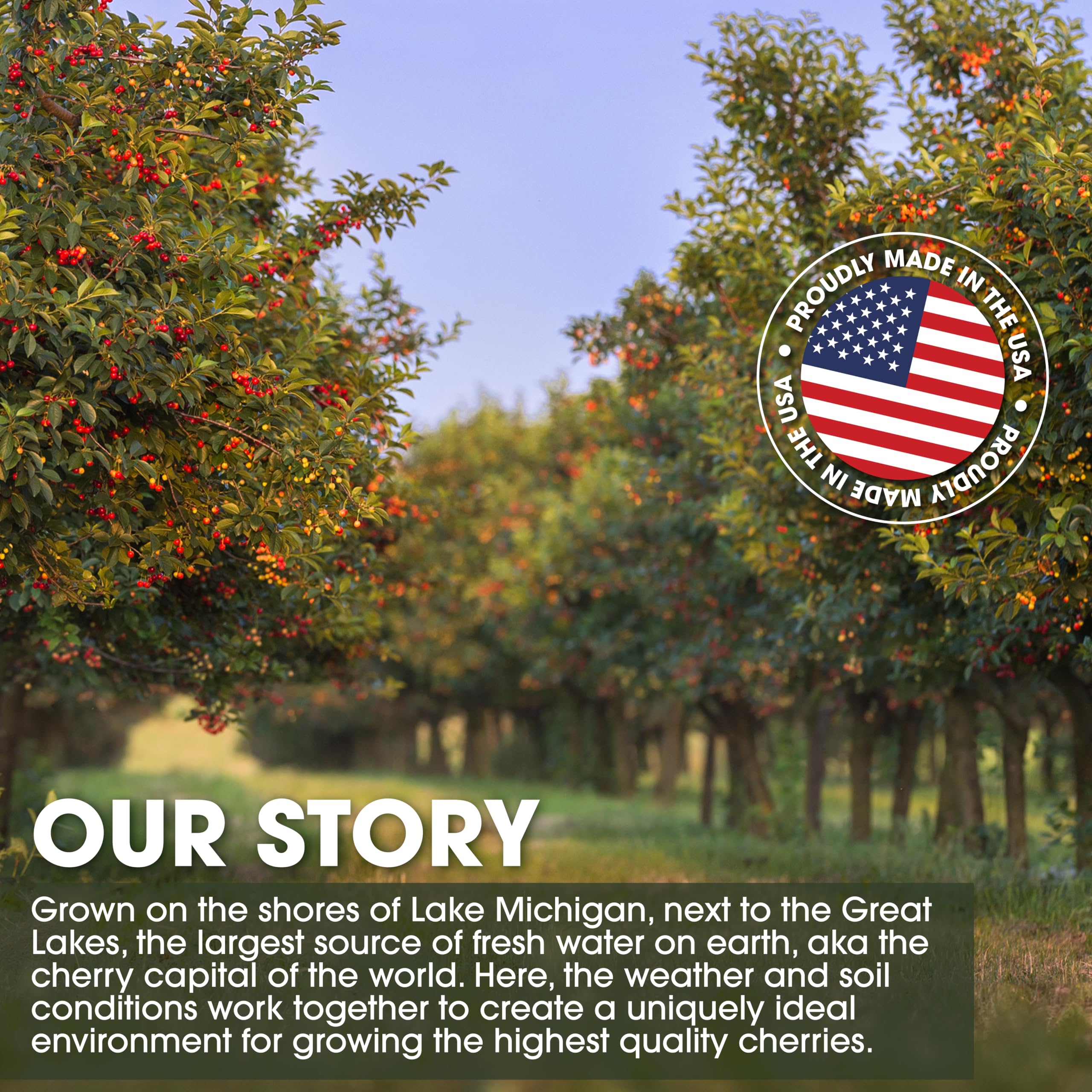 Cherry Bay Orchards Montmorency cherries in bowl illustrating US-grown fruit and natural sourcing