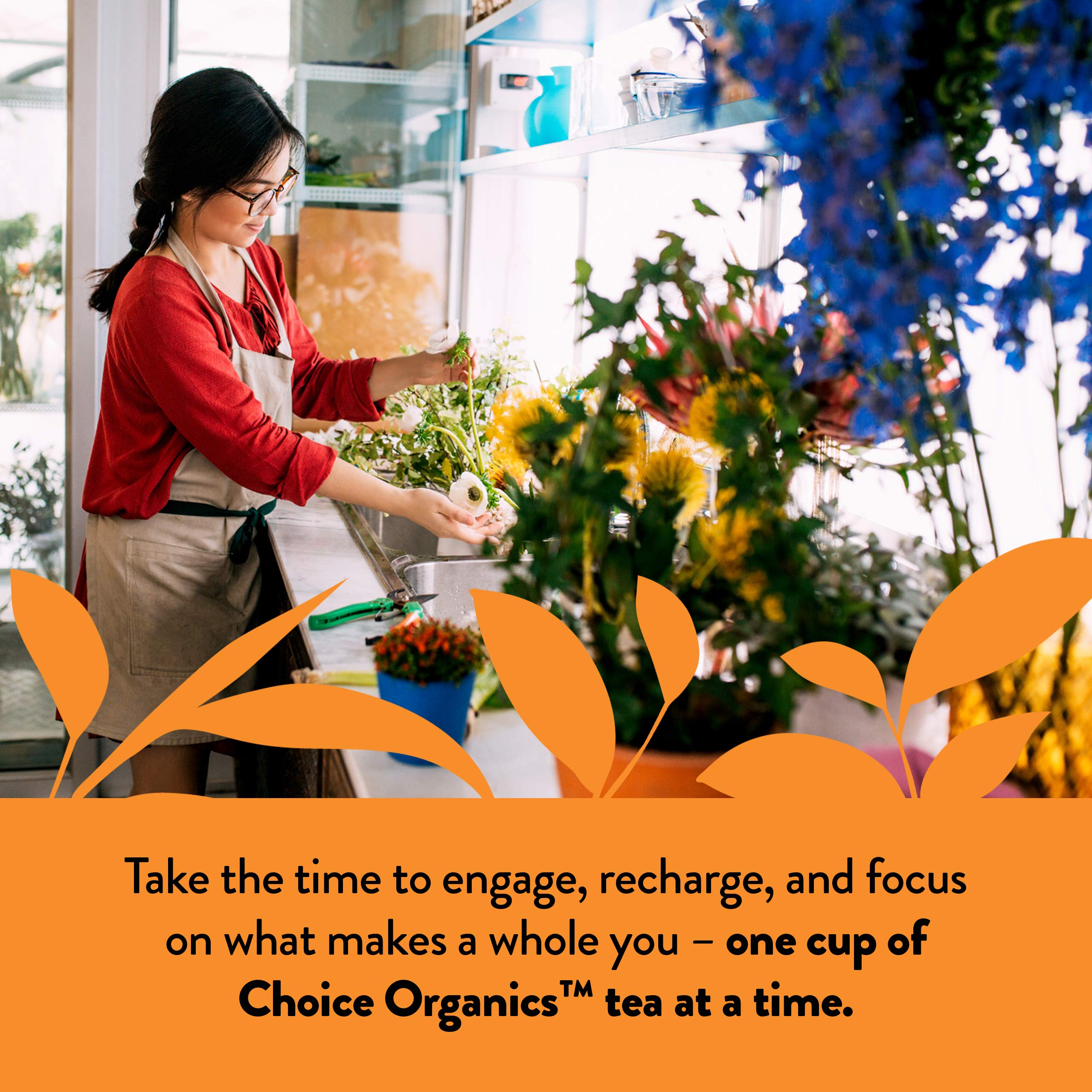 Choice Organic Teas box held in hand for scale showing compact three-pack convenience