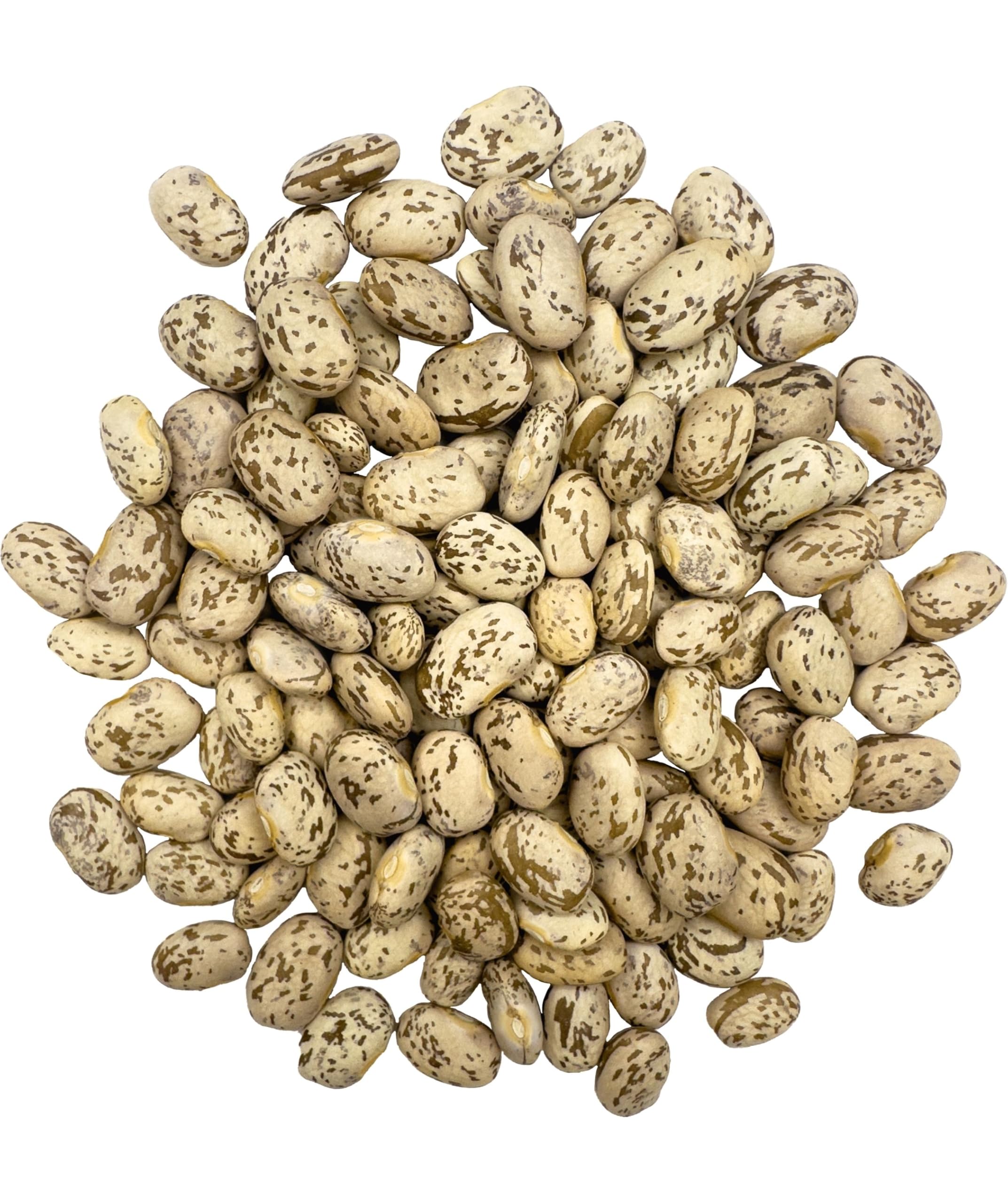 Clear Creek close-up of pinto bean texture highlighting even color and quality