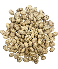 Clear Creek close-up of pinto bean texture highlighting even color and quality