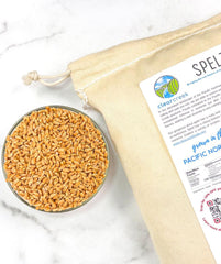CLEAR CREEK spelt berries simmering in pot showing even cooking benefit