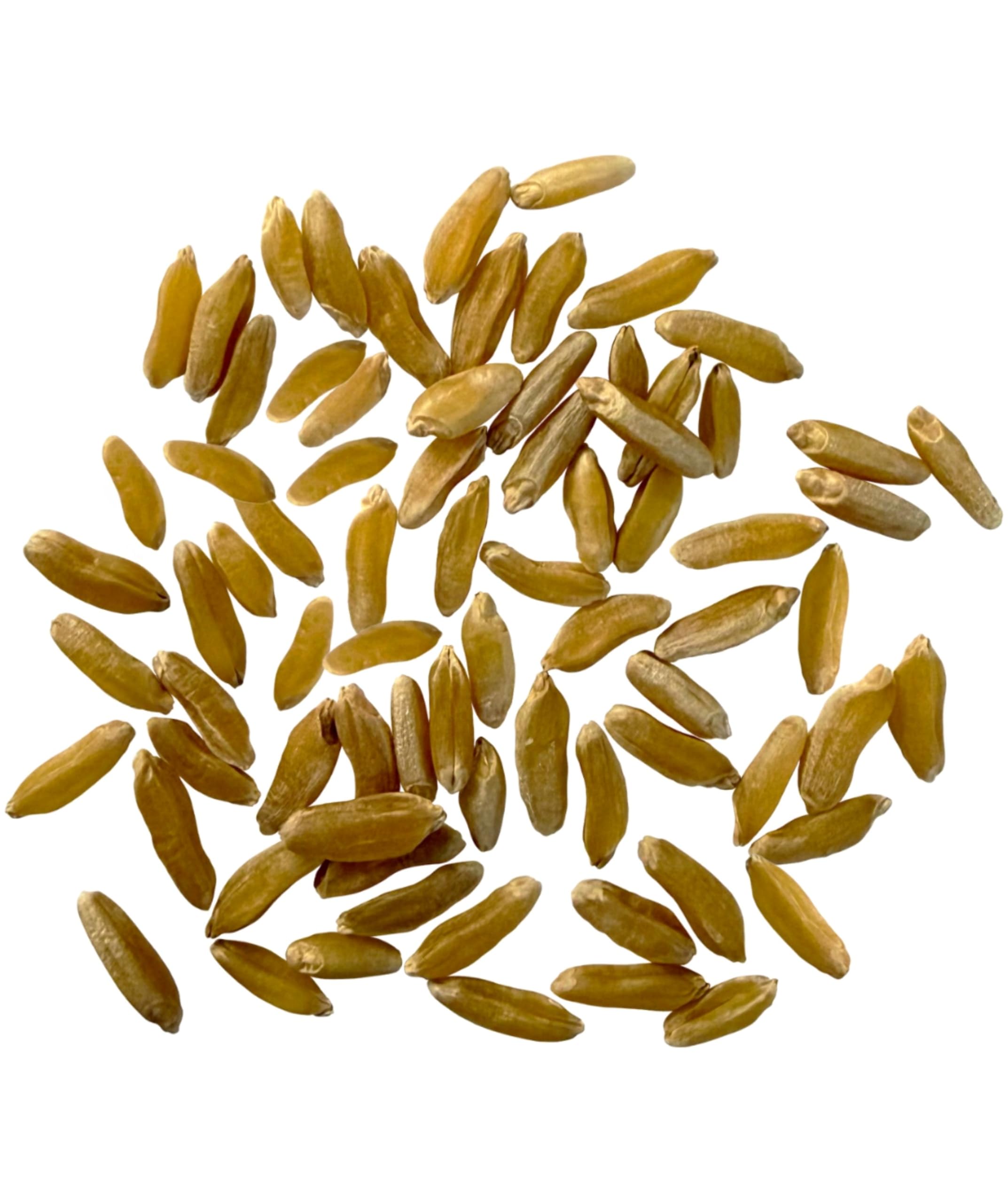 CLEAR CREEK close-up of Khorasan wheat berries highlighting chewy texture benefit