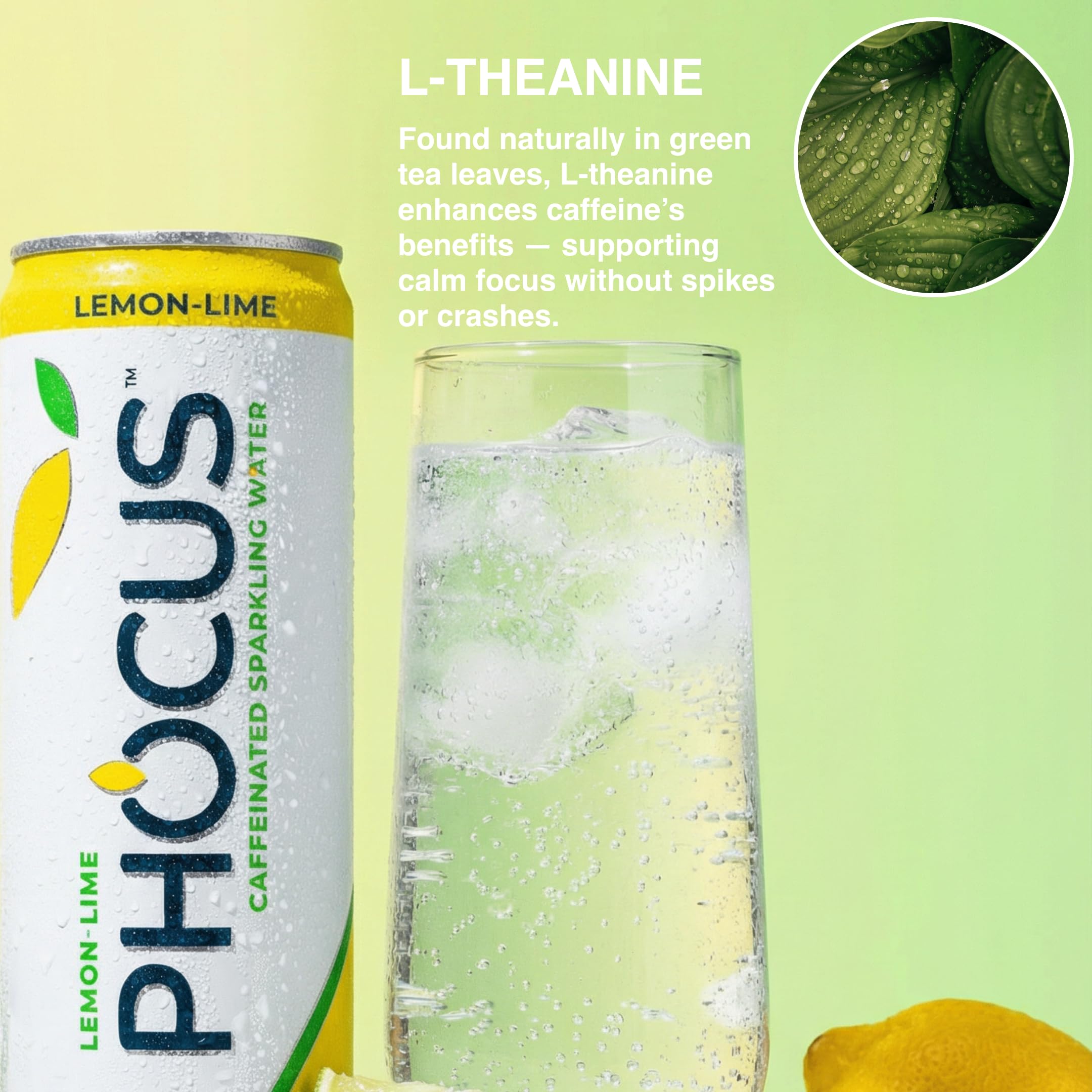 CLEAR CUT PHOCUS cans inside fridge, chilled and ready to drink for immediate refreshment