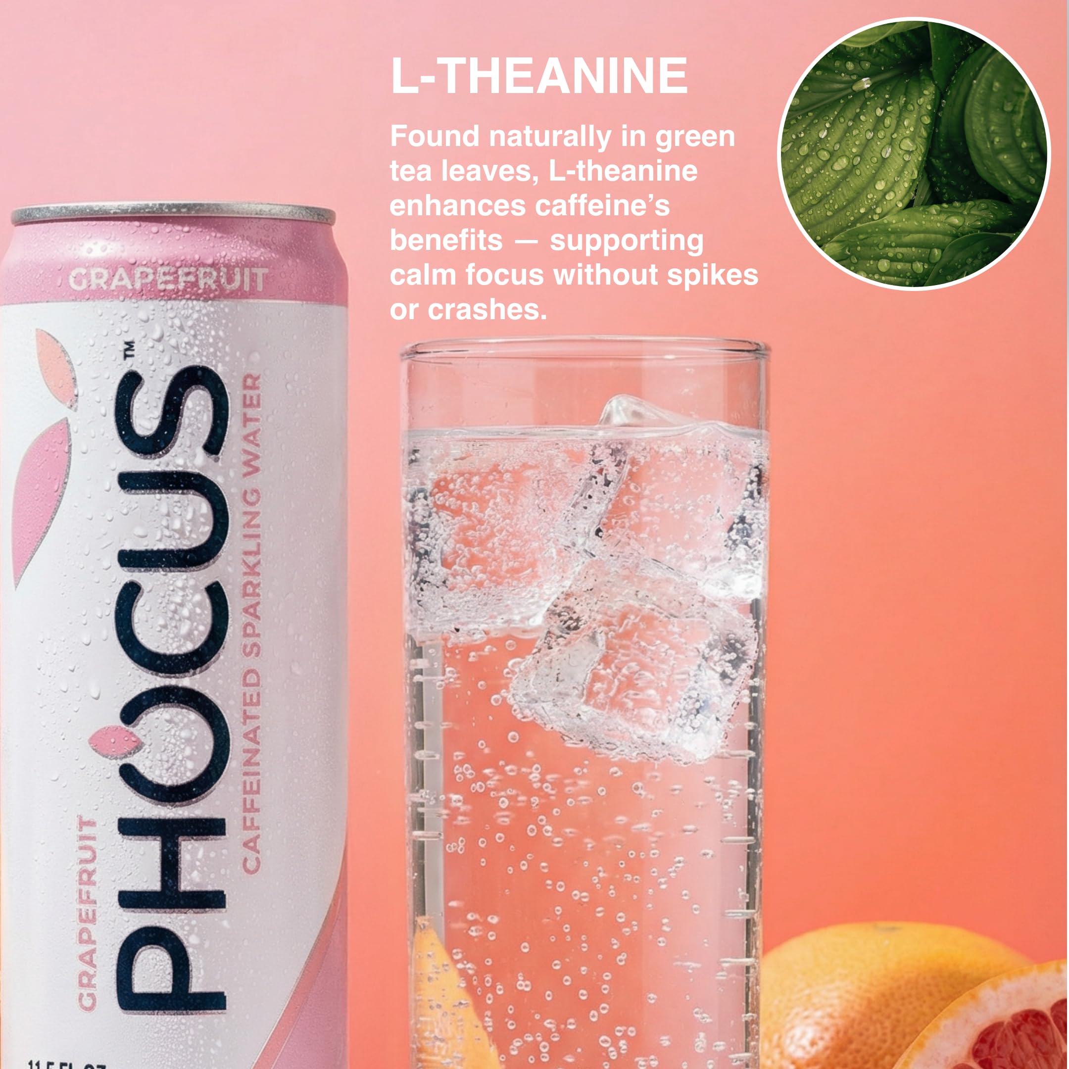 CLEAR CUT PHOCUS can on picnic table illustrating active lifestyle energy