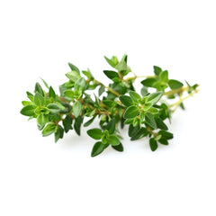 Click and Grow close-up of thyme pod texture and soil cartridge for easy planting