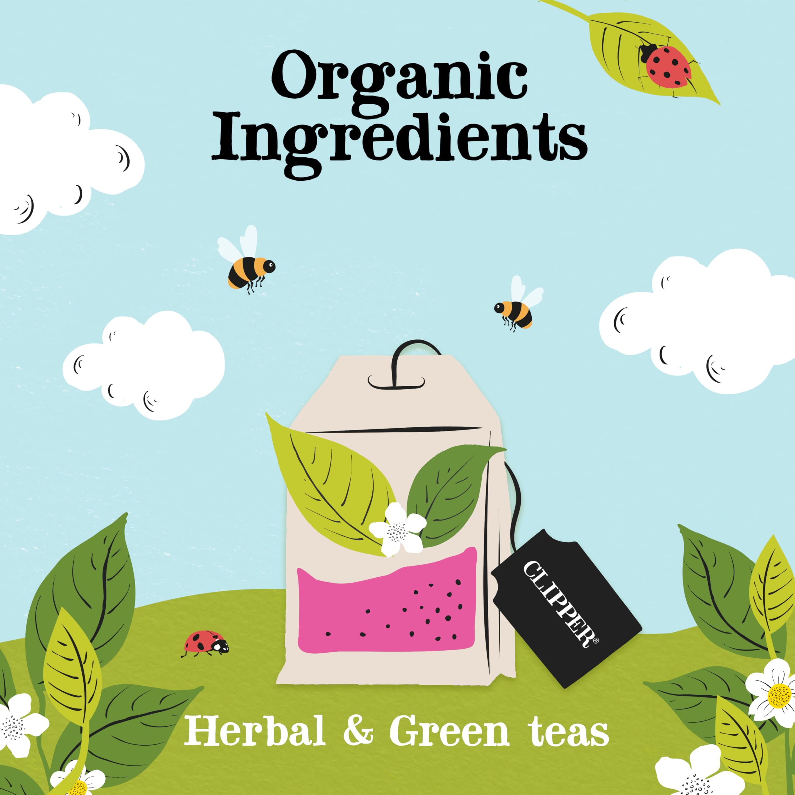 Clipper unwrapped tea bag material detail highlighting plant-based compostable benefit