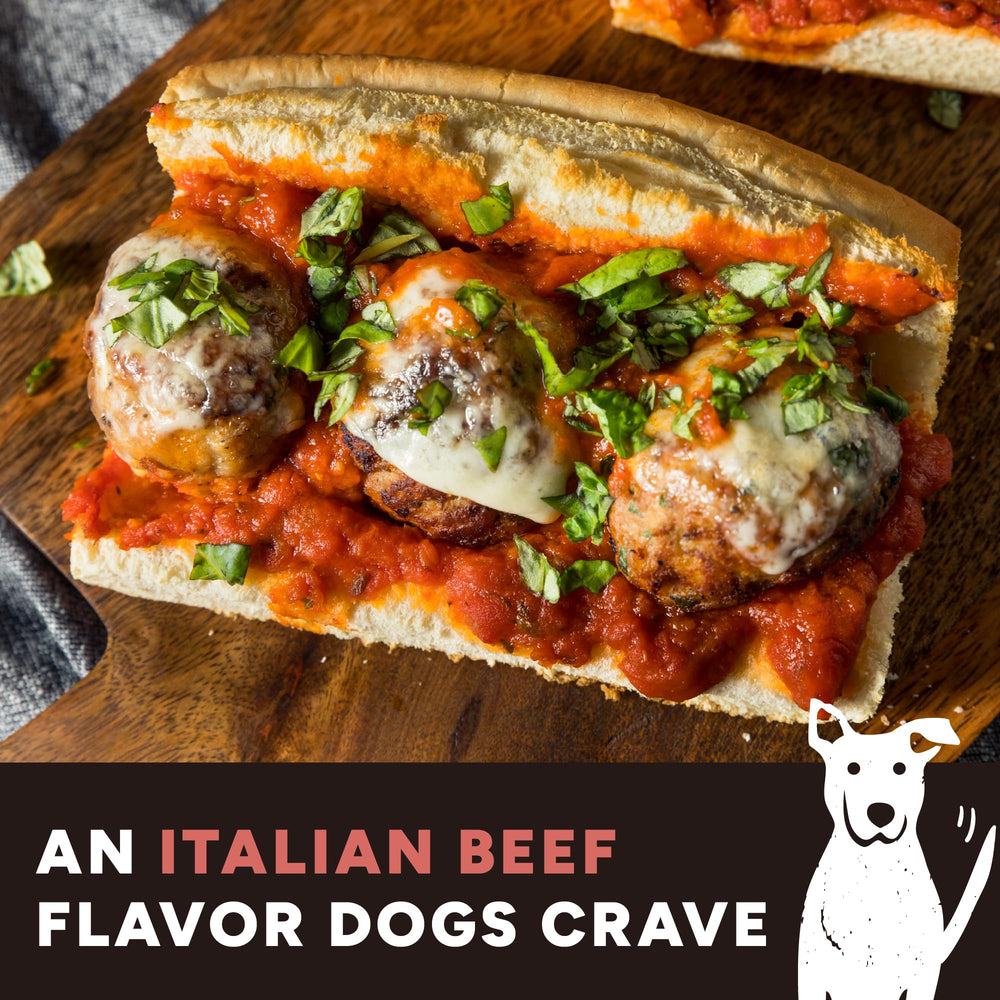 Cloud Star dog enjoying treat illustrating palatable Italian beef flavor