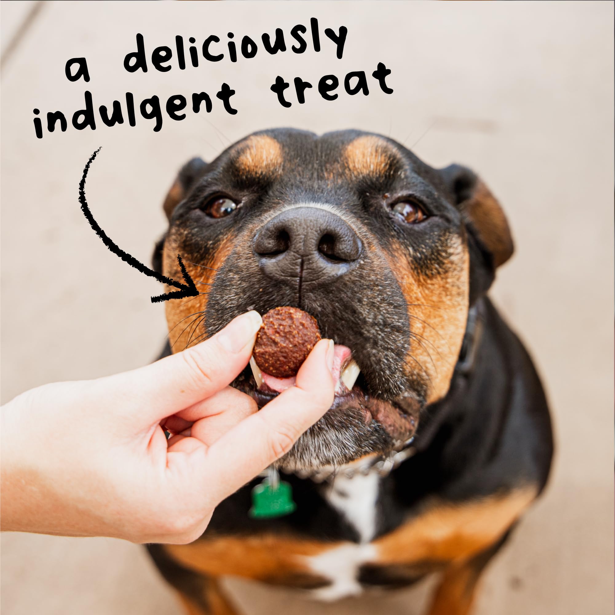 Cloud Star hand holding treats to show portion size and control