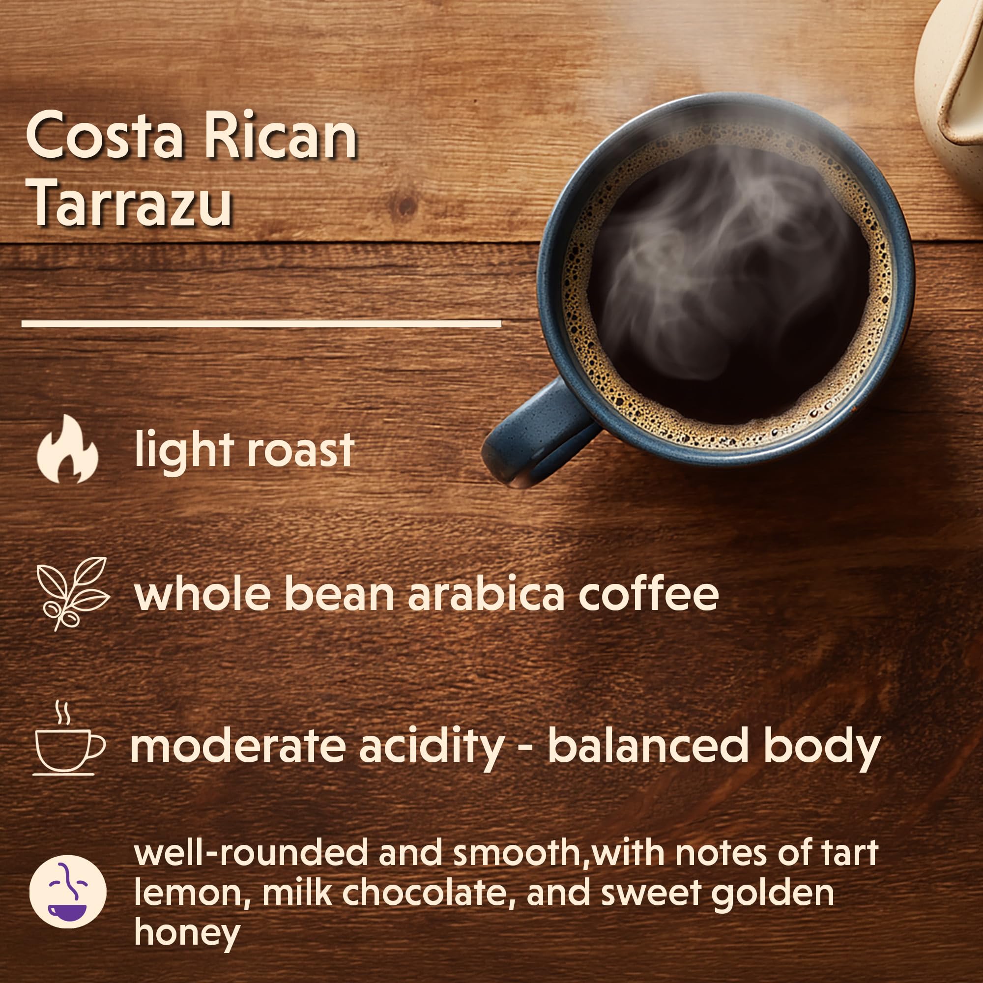 Coffee Bean Direct close-up of whole Tarrazu beans highlighting roast clarity and aroma