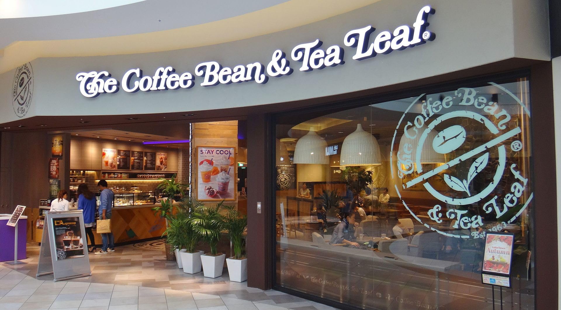 Coffee Bean & Tea Leaf tin beside a measuring cup showing 22oz size