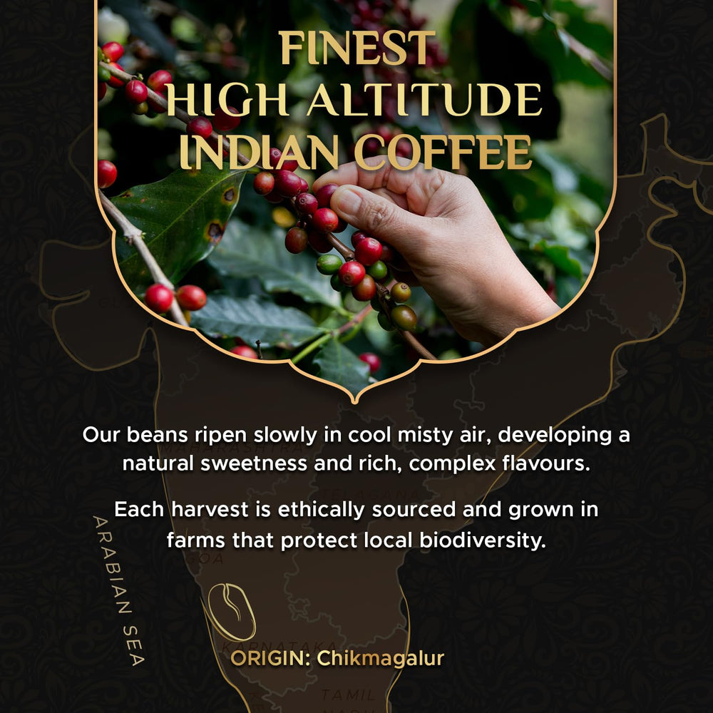Coffeeza aluminum capsule close-up highlighting sealed freshness and aroma retention