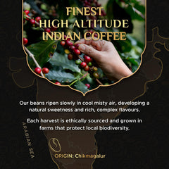 Coffeeza aluminum capsule close-up highlighting sealed freshness and aroma retention