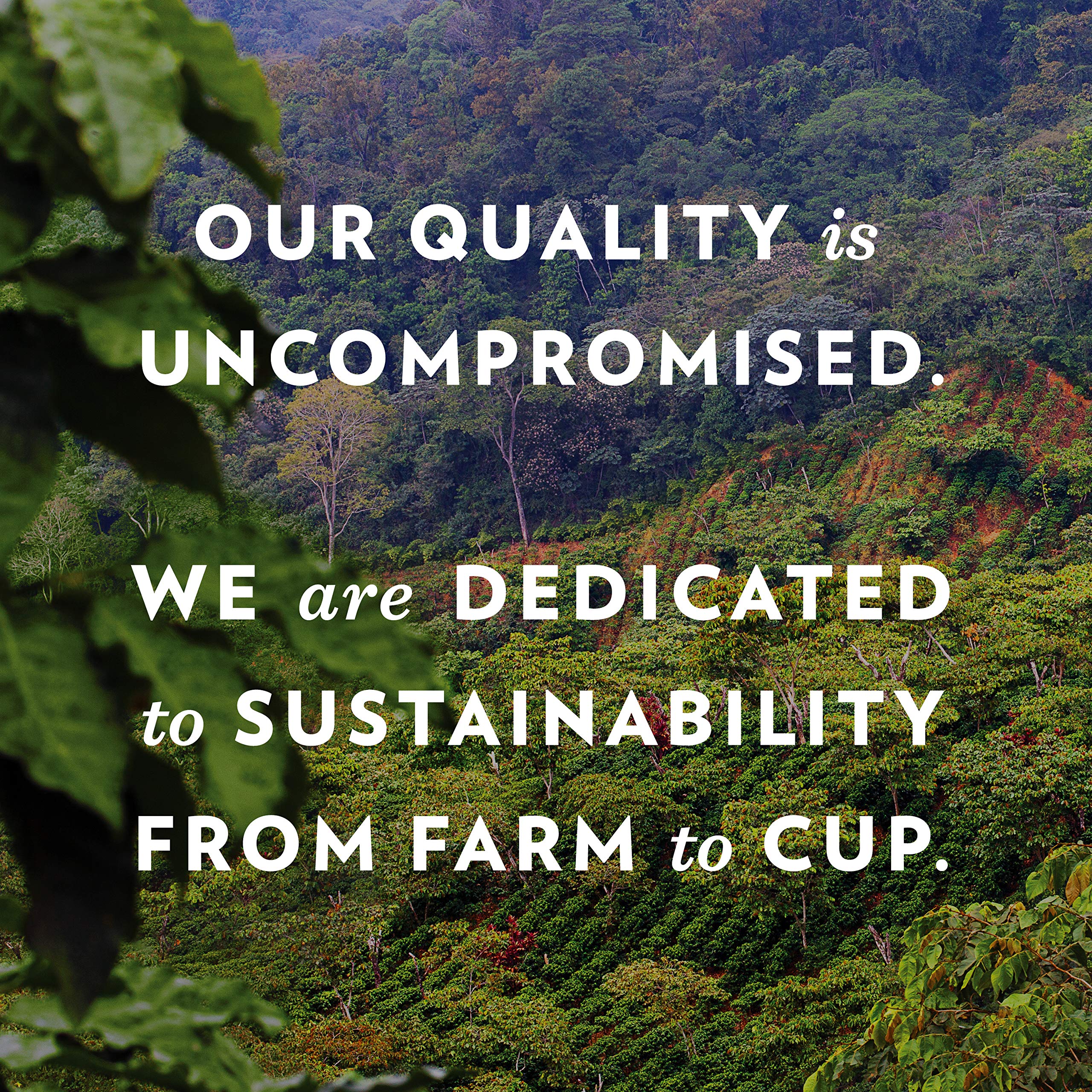 Community Coffee café au lait served with steamed milk showing creamy, balanced cup benefit