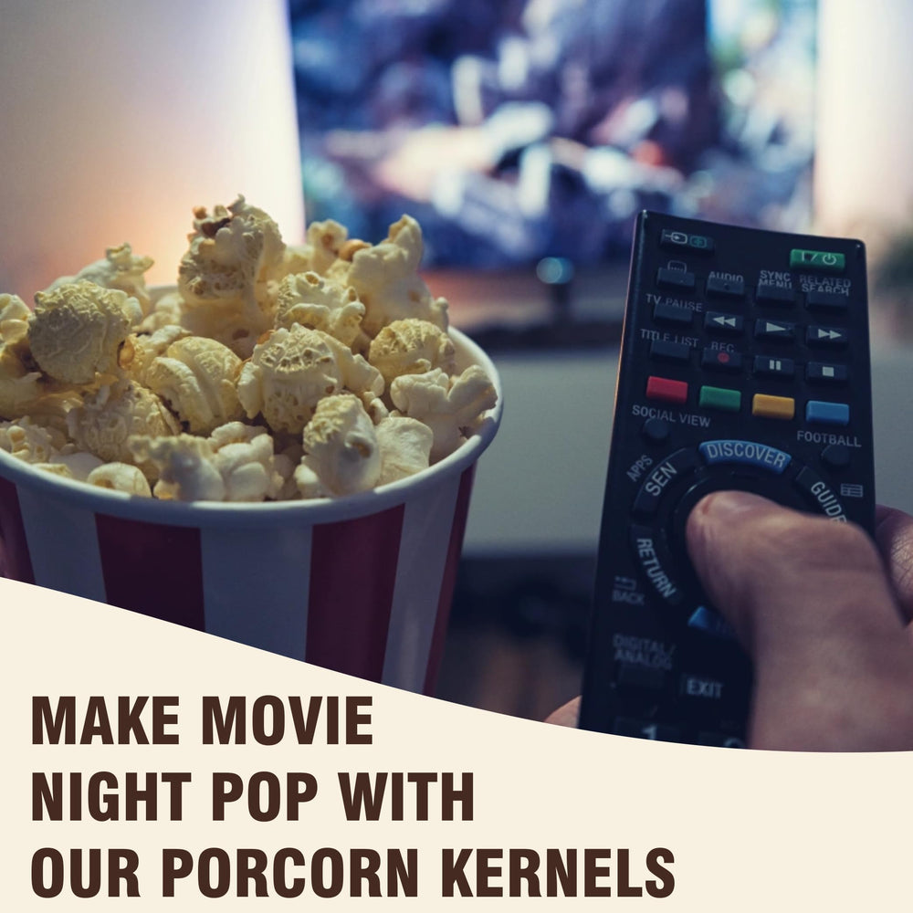 Concession Essentials kernel close-up texture showing large grains benefit: consistent pops