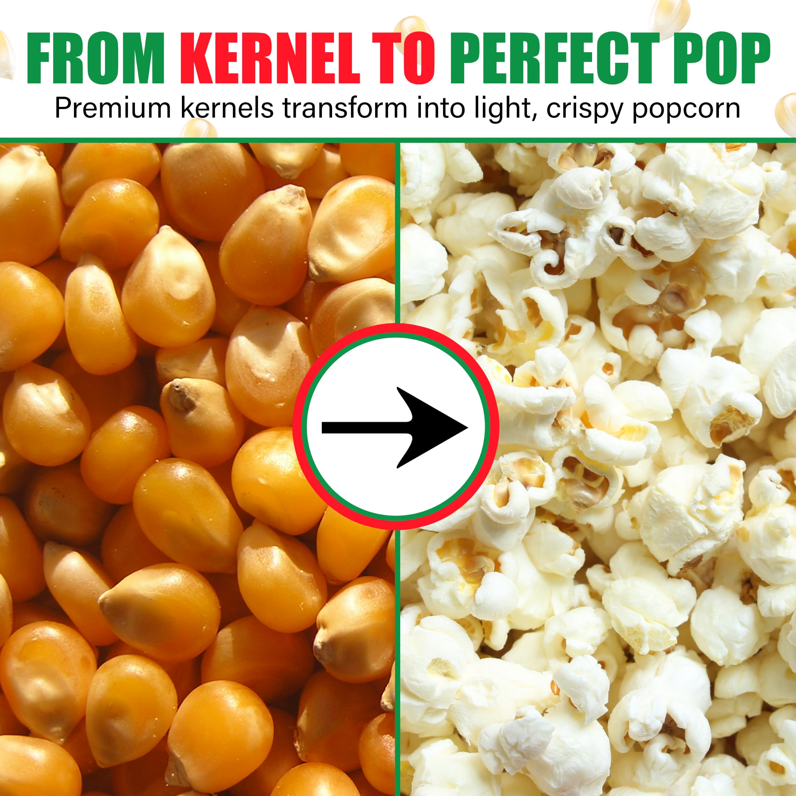 Concession Essentials popped popcorn in bowl highlighting fluffy butterfly pieces ideal for snacking