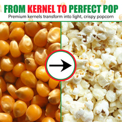 Concession Essentials popped popcorn in bowl highlighting fluffy butterfly pieces ideal for snacking