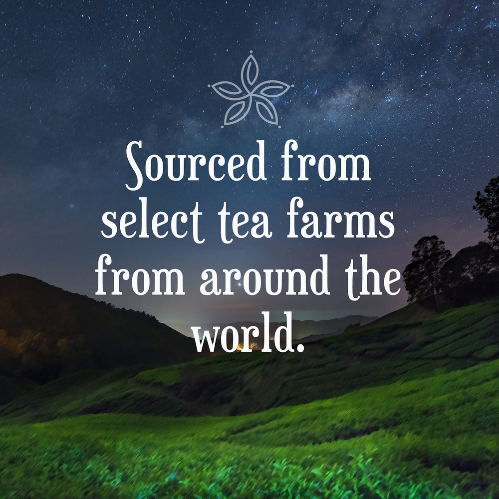 Assorted Constellation Tea pods spread showing variety of blends