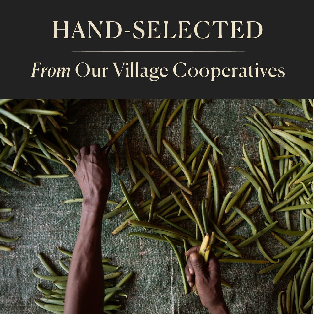 COOK'S whole vanilla pods alongside a ruler showing 5–7 inch length for consistent portioning