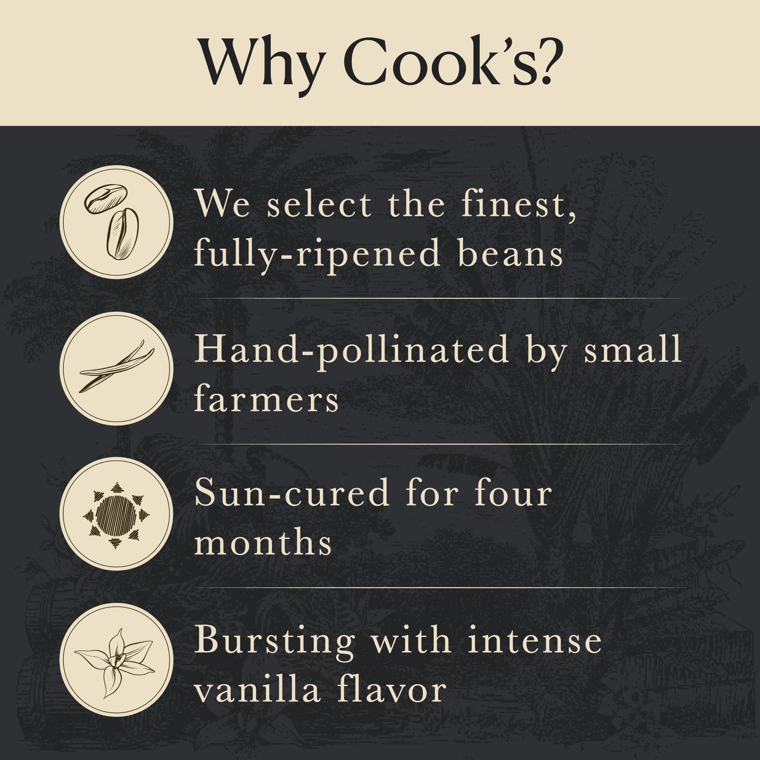 COOK'S 4.5 oz jar beside measuring spoon showing compact pantry-friendly size