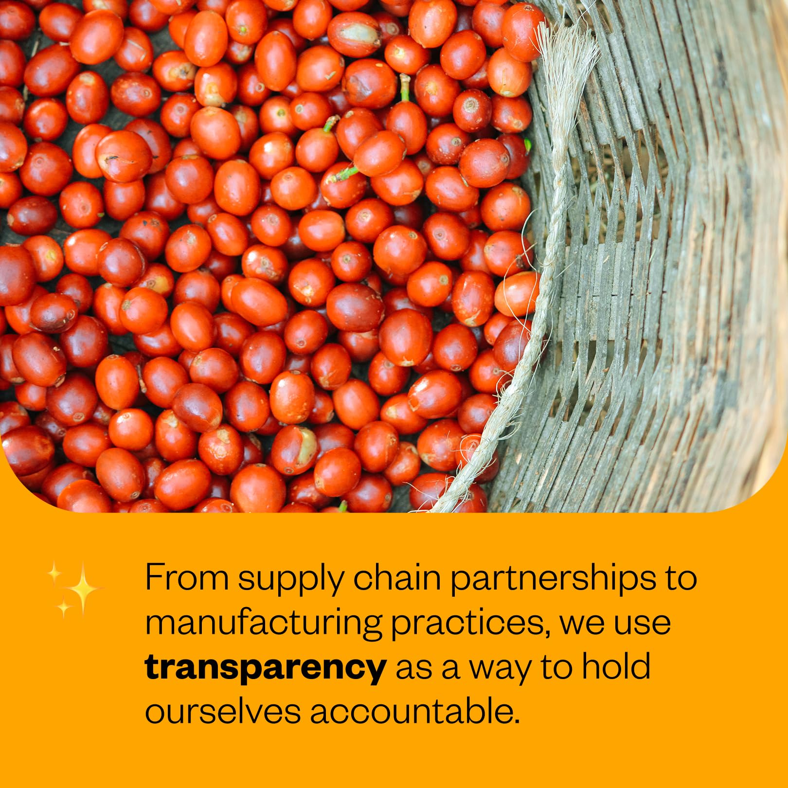 Counter Culture Even Keel scoop of beans demonstrating whole-bean control and grind flexibility
