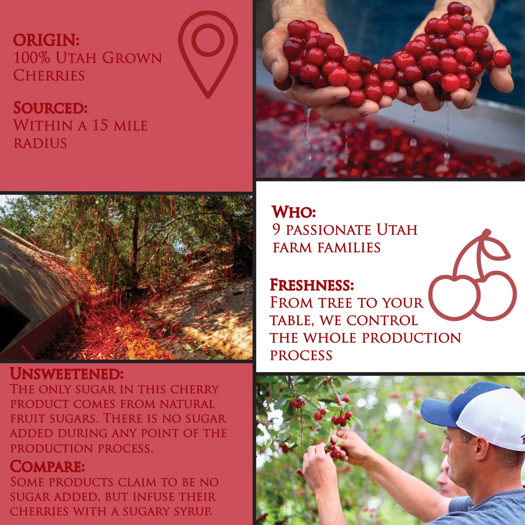 Country Spoon close-up label highlighting Montmorency cherries and unsweetened ingredient transparency benefit