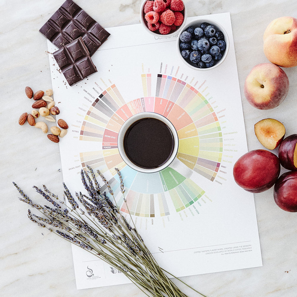 Cozy Up ingredient label close-up emphasizing matcha powder and natural leaves benefit