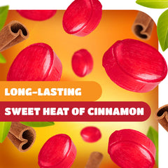 CRAZYOUTLET individually wrapped cinnamon piece highlighting hygienic convenience