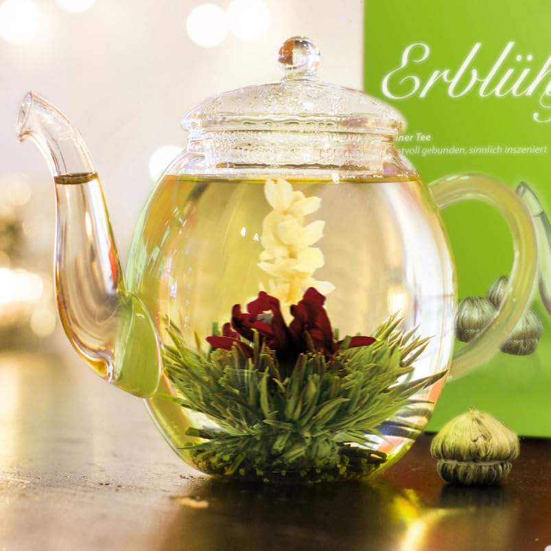 Creano glass teapot 17oz full view highlighting heat-resistant design