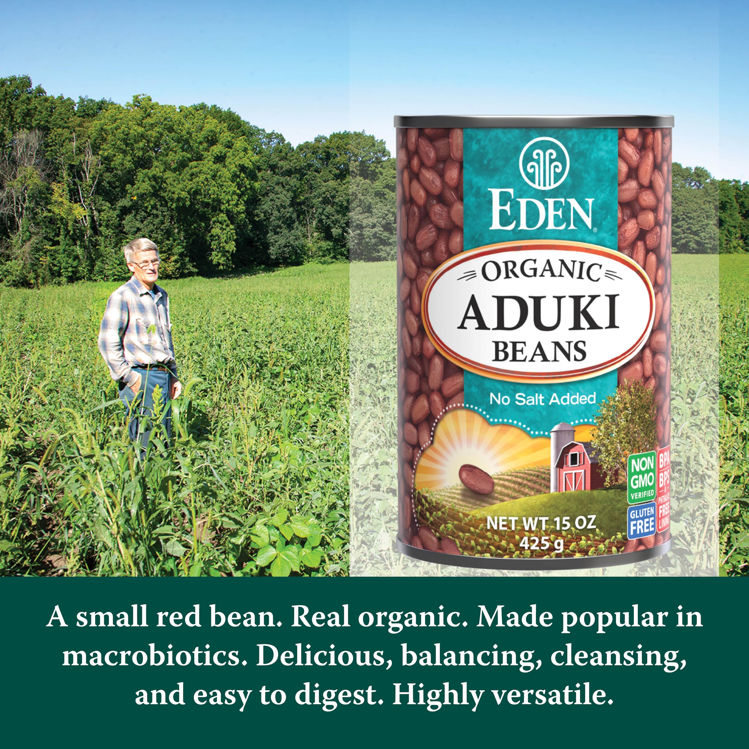 CREATION AND MAINTENANCE OF PURITY IN FOOD open can top view showing whole aduki beans, ready-to-use for recipes