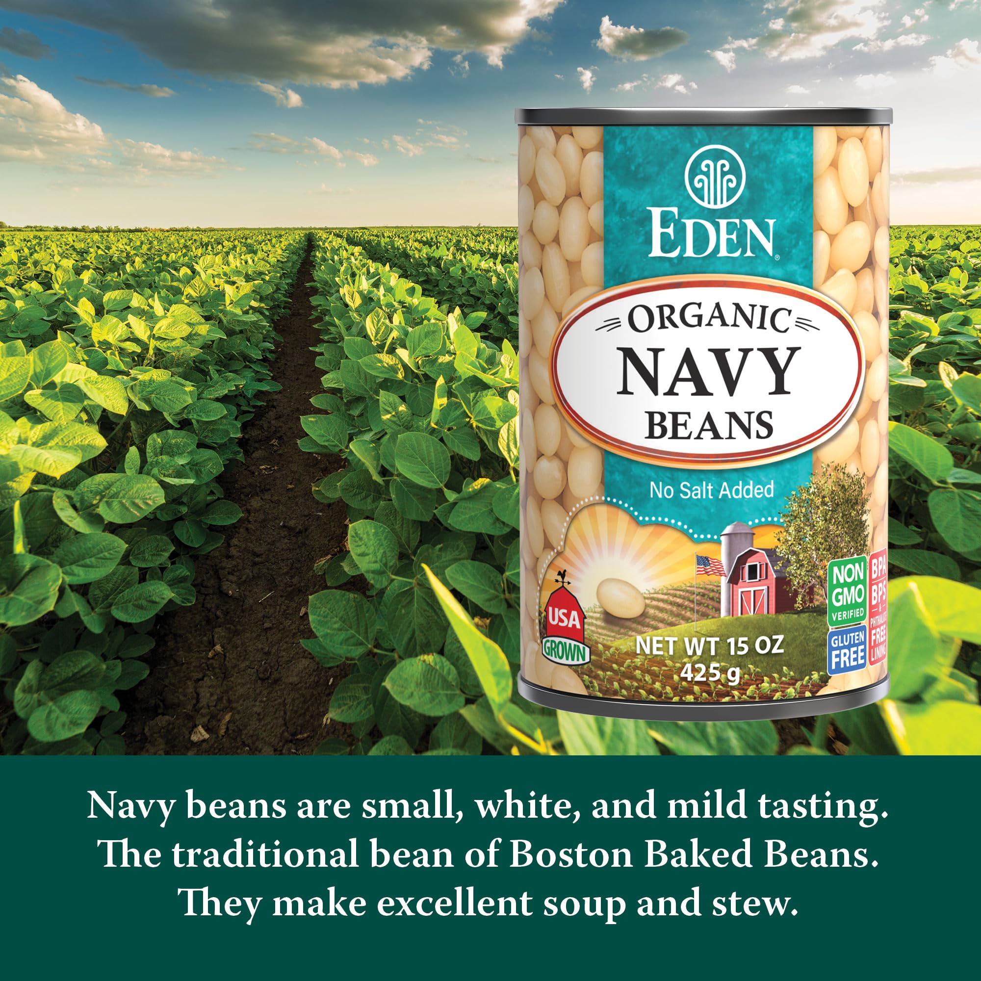 CREATION AND MAINTENANCE OF PURITY IN FOOD navy beans in bowl with tender texture for easy meals
