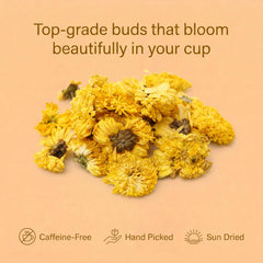 Cure Wid Pure chrysanthemum flowers blooming inside a teacup for an appealing visual infusion
