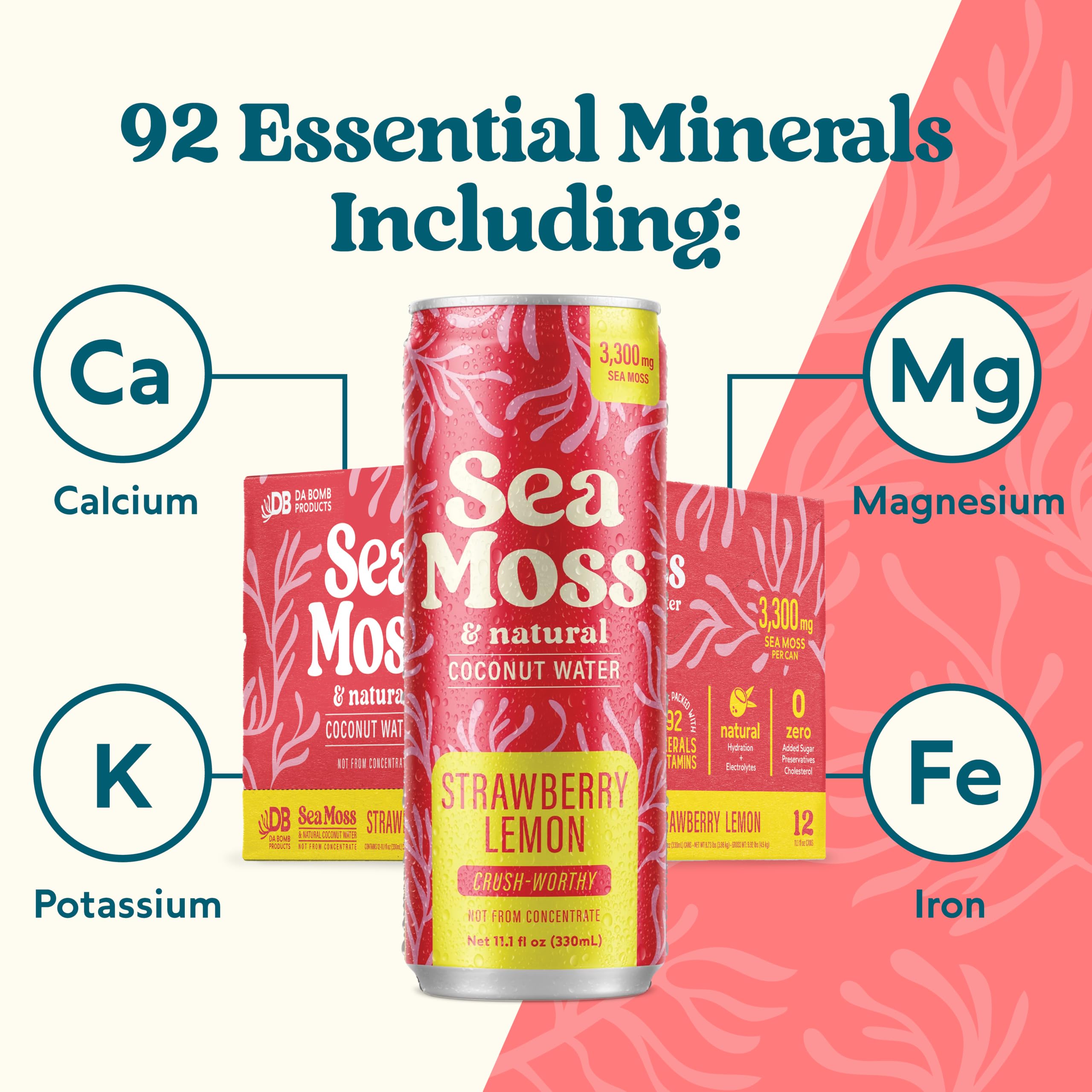 Da Bomb Sea Moss twelve-can boxed pack, ideal for stocking and value purchase