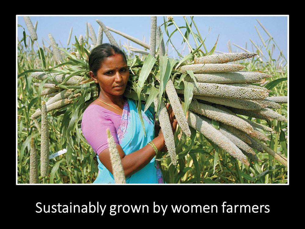 Women farmers harvesting sesame showing Daana sustainable sourcing benefits
