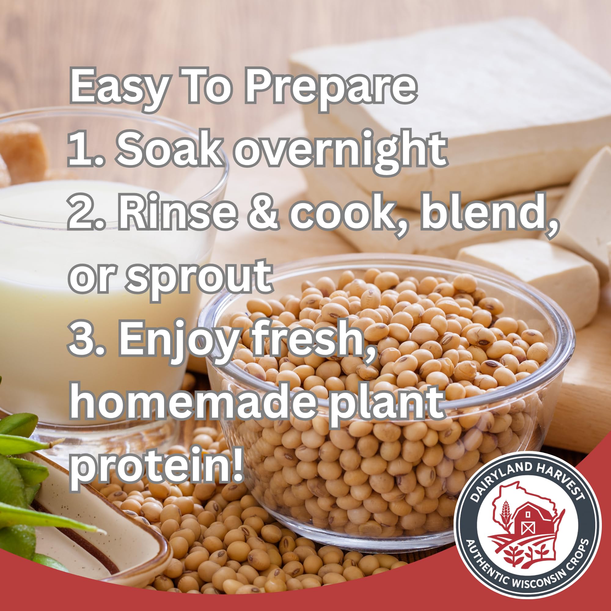 Dairyland sprouted soybeans plated fresh for salads and crunch benefit
