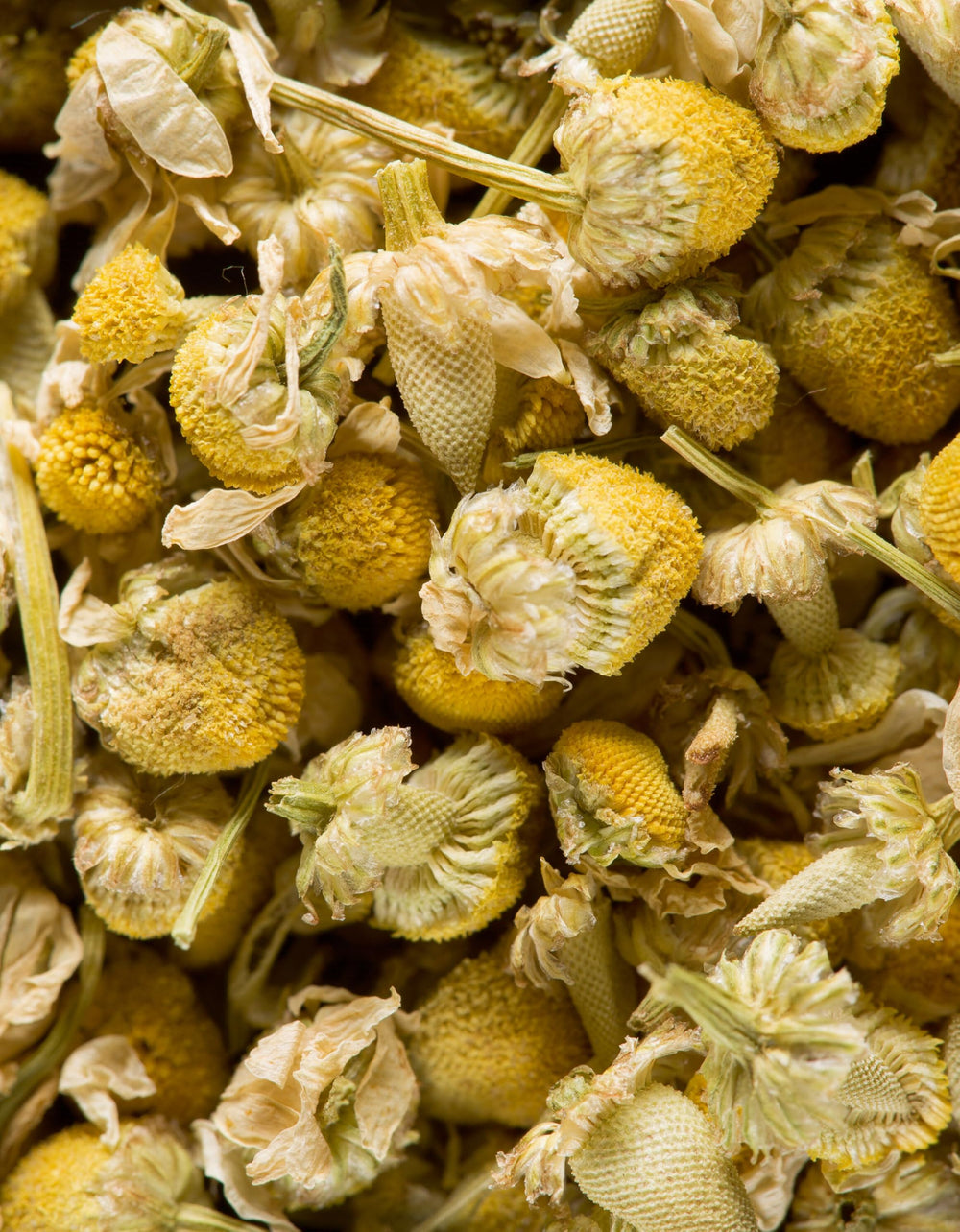 Dammann Freres steeping a chamomile sachet in a clear cup highlighting bright yellow infusion