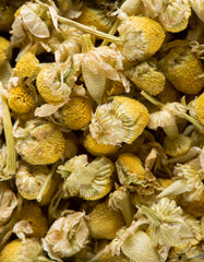 Dammann Freres steeping a chamomile sachet in a clear cup highlighting bright yellow infusion