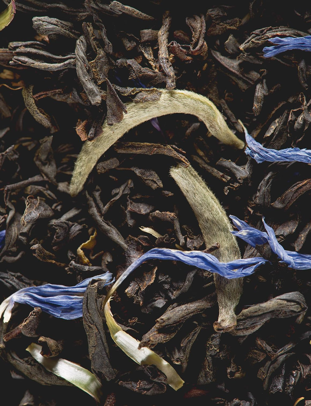 Dammann Freres pouring brewed Earl Grey into a cup highlighting bright bergamot aroma