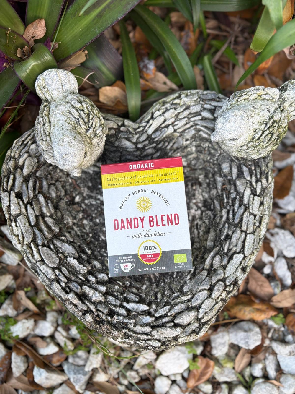 Dandy Blend box beside a measuring spoon to show packet size and portion-control benefit