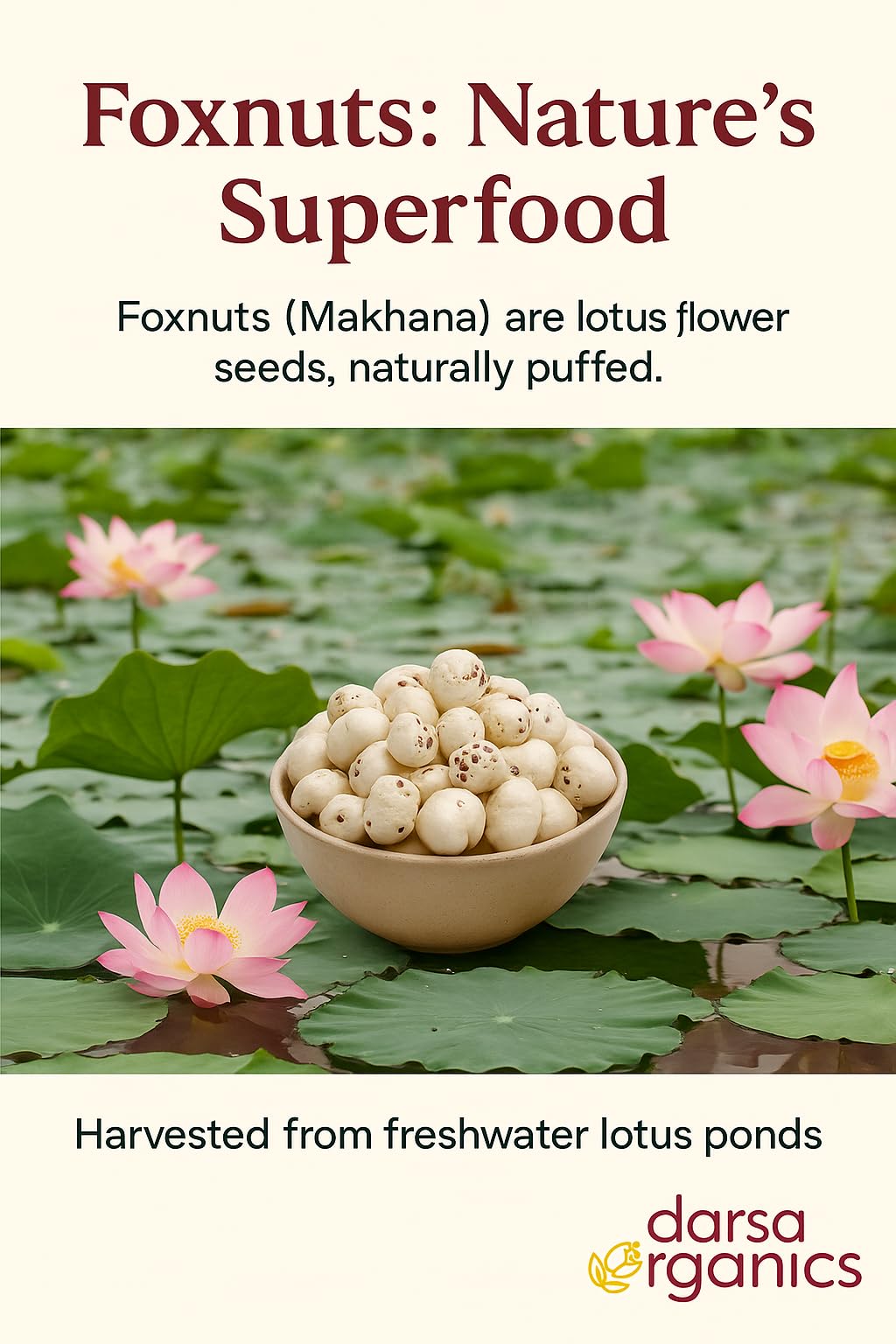 Darsa Organics roasted foxnuts in a bowl suggesting a crunchy, low-calorie snack