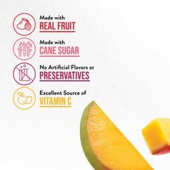 DaVinci Gourmet close-up texture of mango mix highlighting creamy consistency