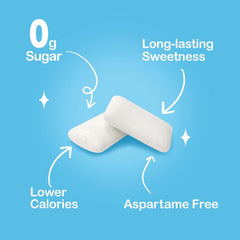 DC24 DAILY CARE close-up of gum texture illustrating smooth surface and long-lasting flavor delivery