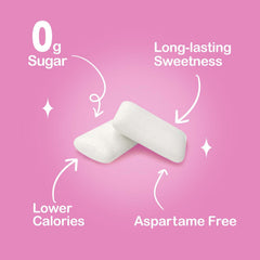 DC24 DAILY CARE single gum piece close-up showing smooth texture for steady flavor