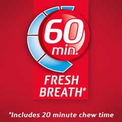 Dentyne gum pieces in hand demonstrating portable, easy-to-chew size