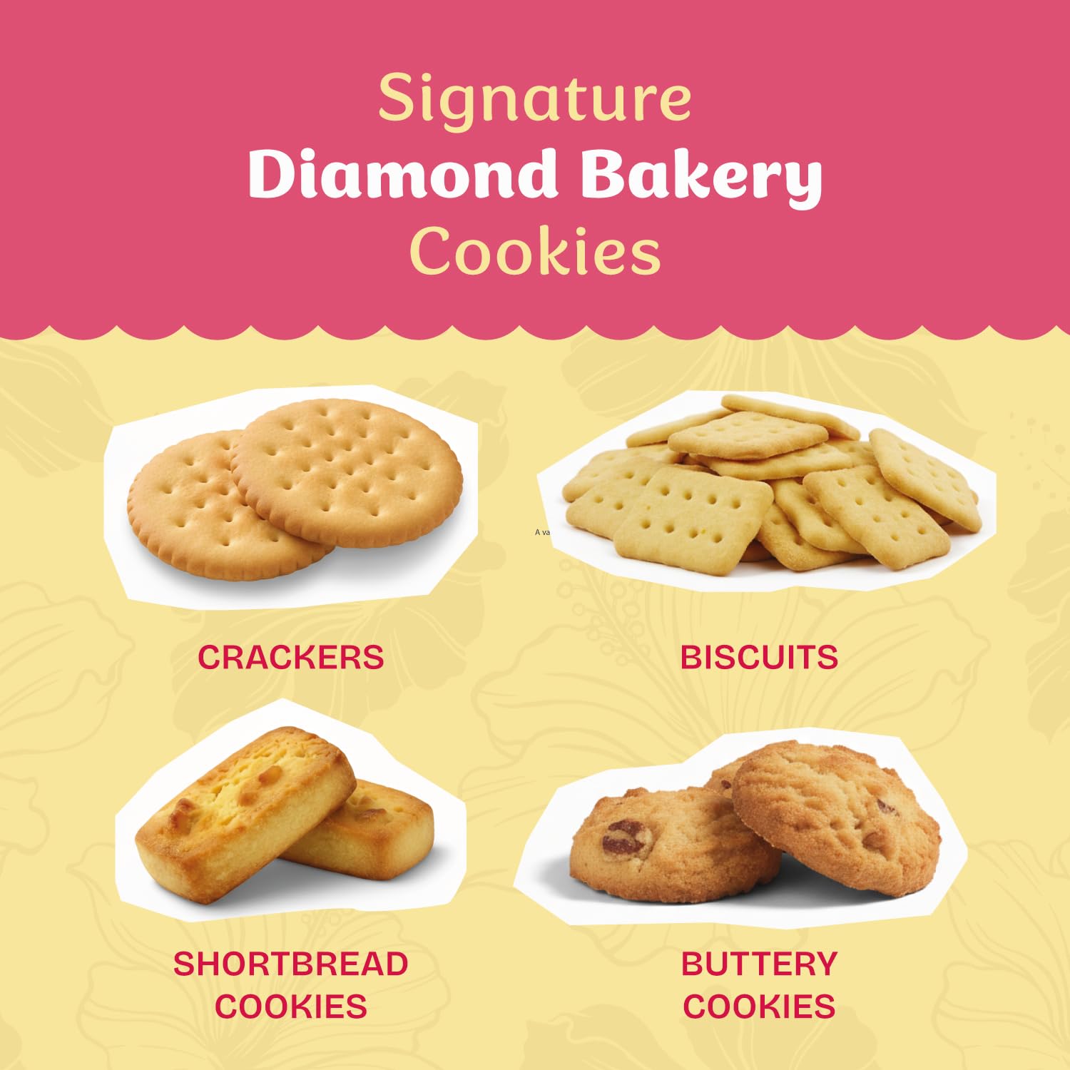 Close-up of Diamond Bakery cracker texture highlighting thin, crisp bake and light salt for balanced crunch